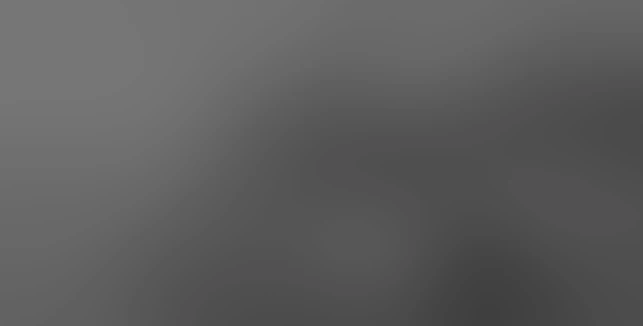 The image is blurry and out of focus, making it difficult to distinguish any specific objects or details.