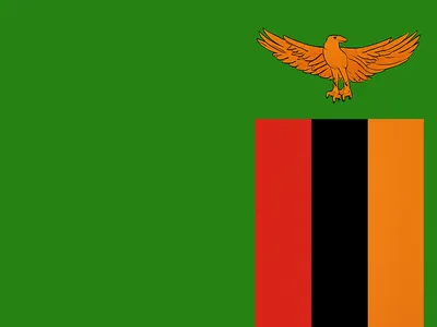 Flag of Zambia featuring a green field with an orange eagle above vertical red, black, and orange stripes in the lower right corner.